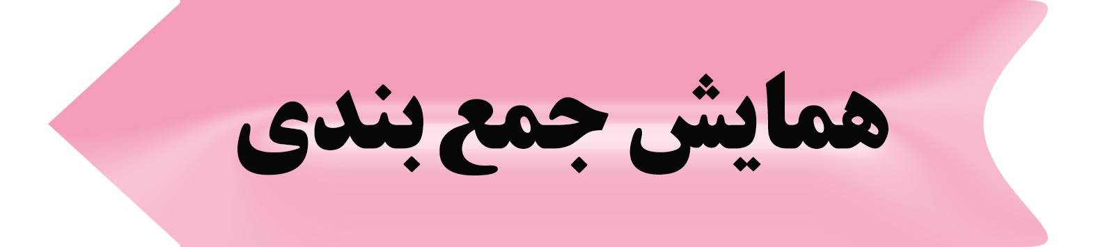 همایش جمع بندی