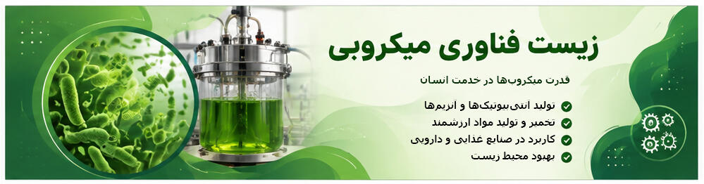 زیست فناوری معادل فارسی واژه Biotechnology یا بیوتکنولوژی است و در بیشتر موارد این دو عبارت به یک حوزه علمی اشاره میکنند. البته در دانشگاه ممکن است برنامههای تحصیلی با عنوانهایی مانند زیست فناوری، زیست فناوری میکروبی، زیست فناوری پزشکی، زیستمهندسی، مهندسی زیستی یا Biotechnology ارائه شوند که هرکدام بر بخش خاصی از این حوزه تمرکز دارند.
